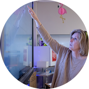 Professional pointing to a smart whiteboard